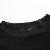Sexy Long Sleeve Mesh Top